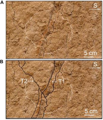 Discovery of the Qinghe fault, the inner part of the Weihe graben, central China, and its geological significance